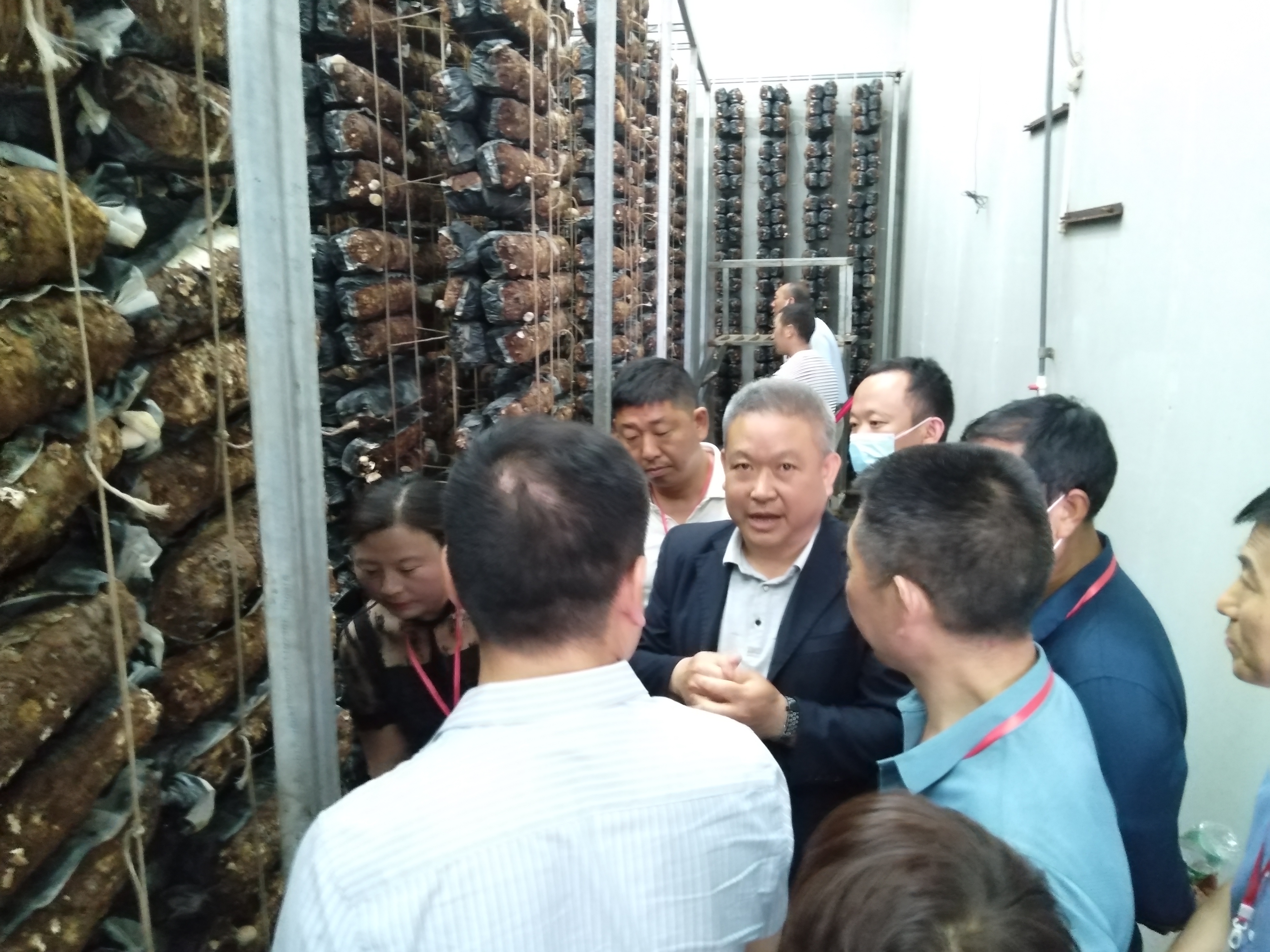 湖北秭归：外出参观长见识，田间实操学本领