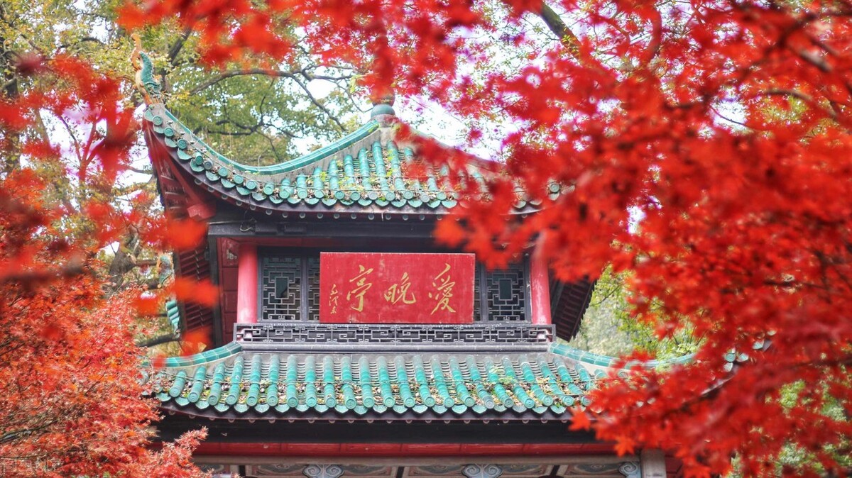 9月不可错过的这15处初秋美景，领略中国最美的秋色，美得不像话插图63