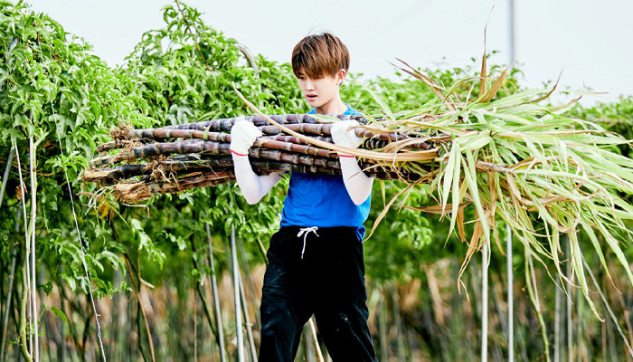 岳云鹏做客“蘑菇屋”，进门就要睡觉，怕是要