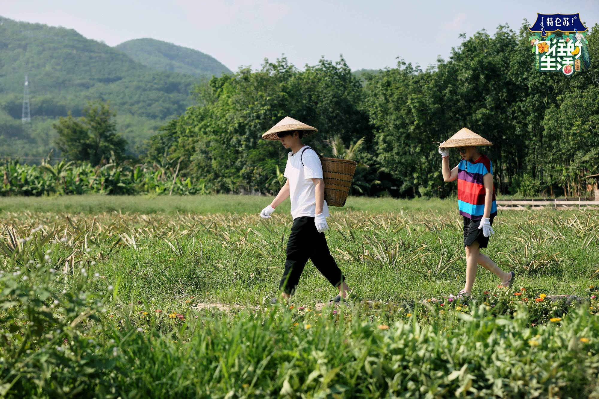 欧倍尔研发景观湿地构建及净水调控虚拟仿真软件，促环境实验教学