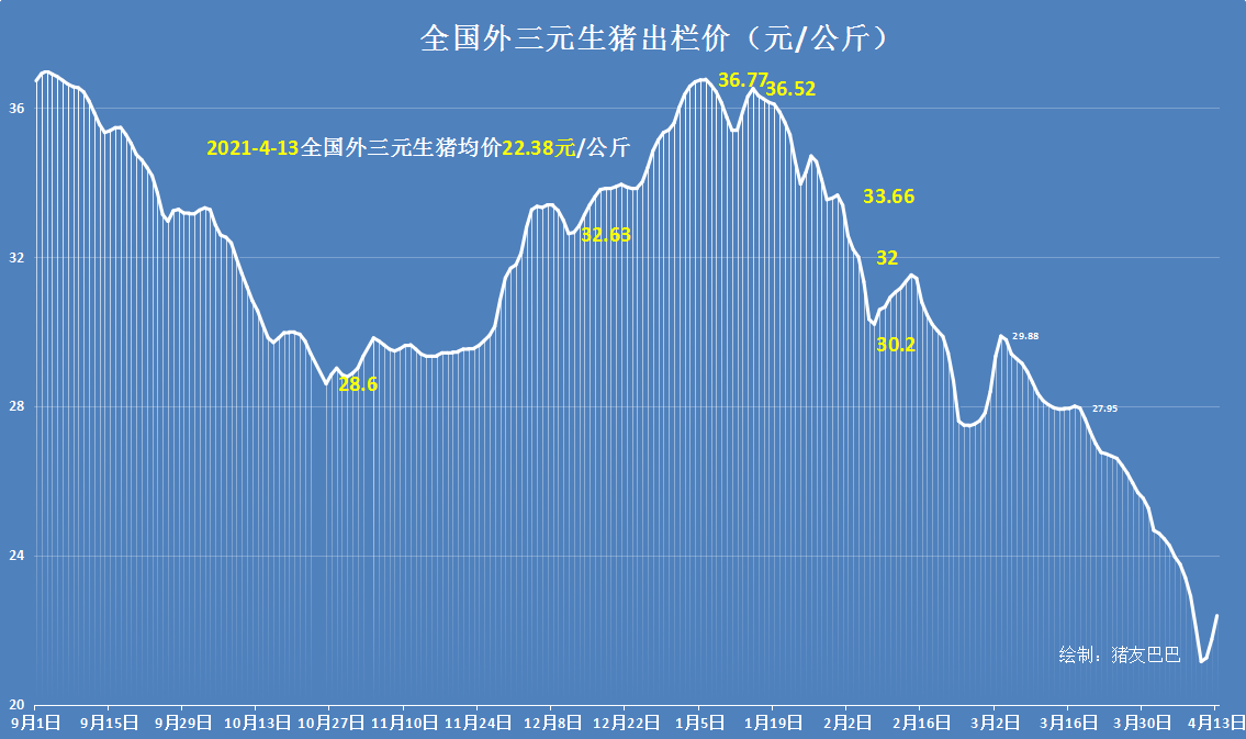 猪价柳暗花明，行情大涨1.2元，养猪头均盈利崩塌，养殖户咋办？