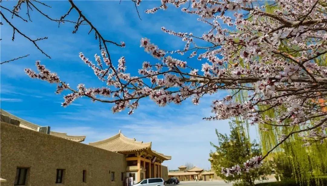 又是一年四月天：相约敦煌