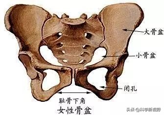 什么災難是擁有智慧的人類(lèi)也毫無(wú)辦法的？