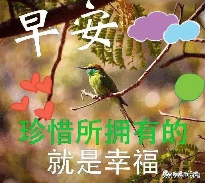 早安图片带字温馨图片 早上好动态图片带字图片