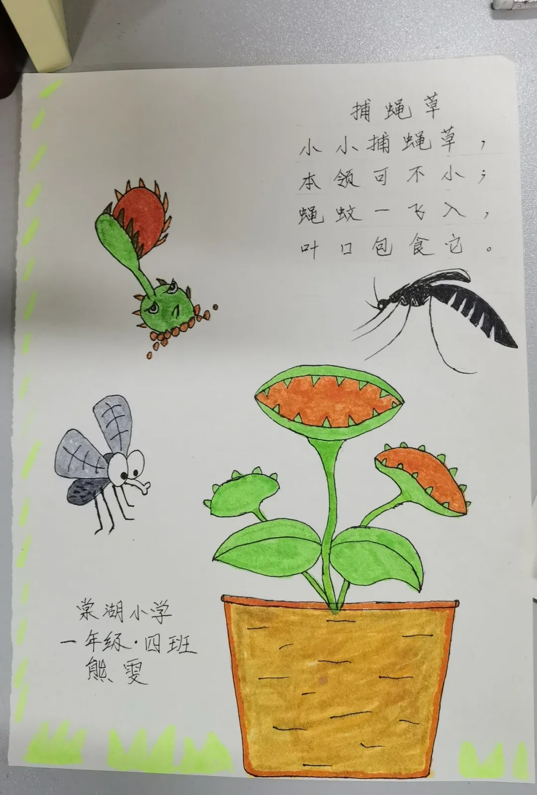 成都市双流区棠湖小学书香班级丨书香飘荡添智慧 墨香永存润心灵