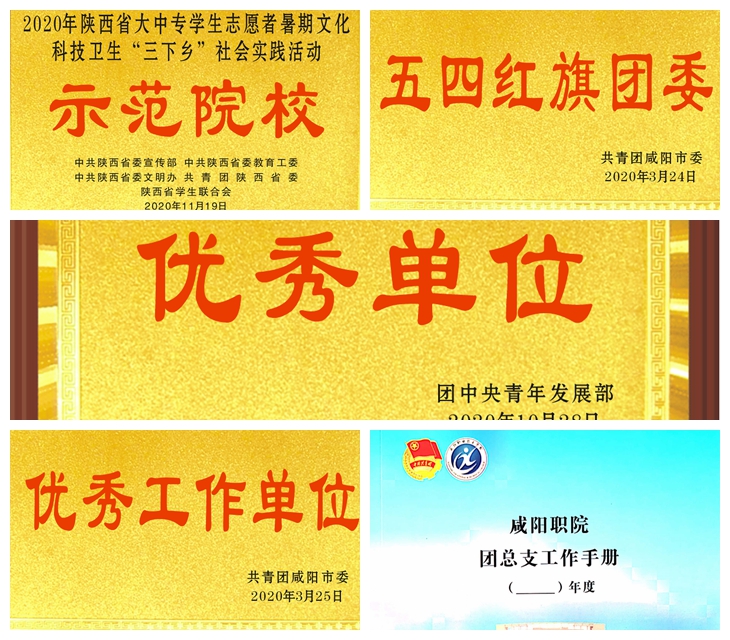 朝着建设陕西一流共青团砥砺奋进——2020年度咸阳职院共青团工作综述