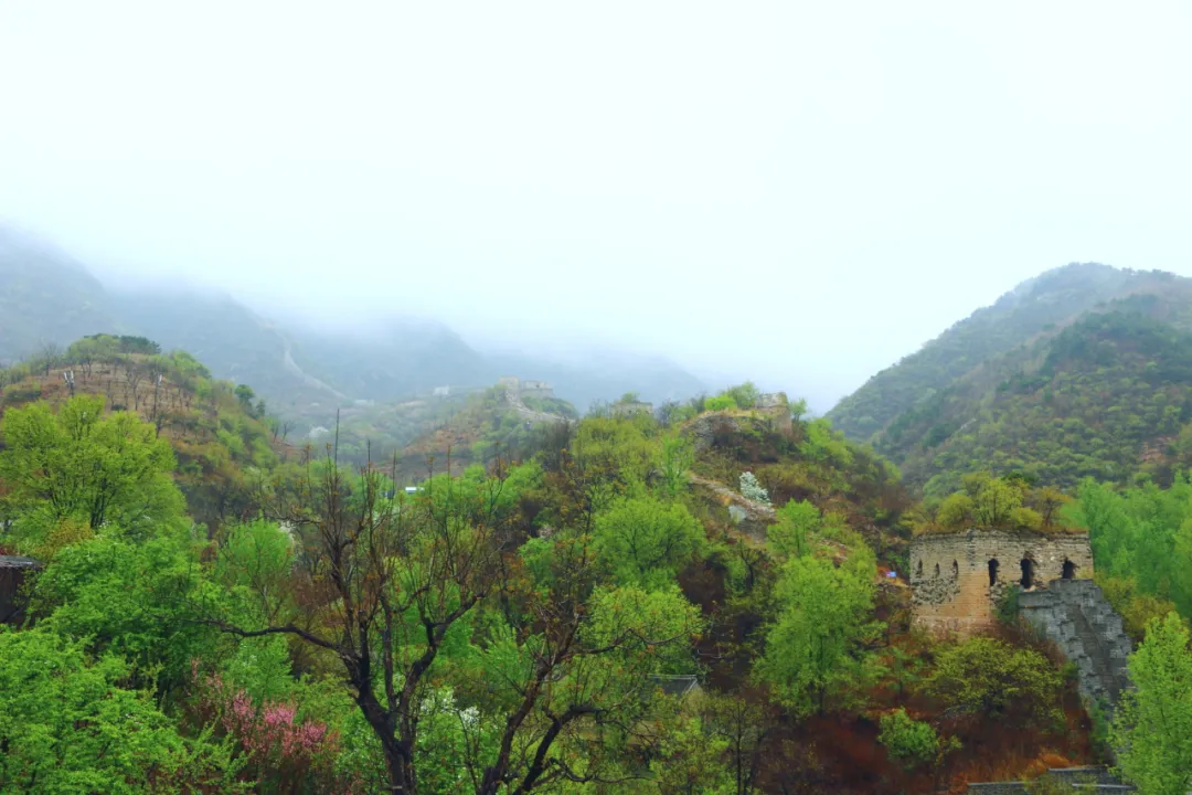 迁西：春色撩人醉心间，雨后与青山关的不期而遇