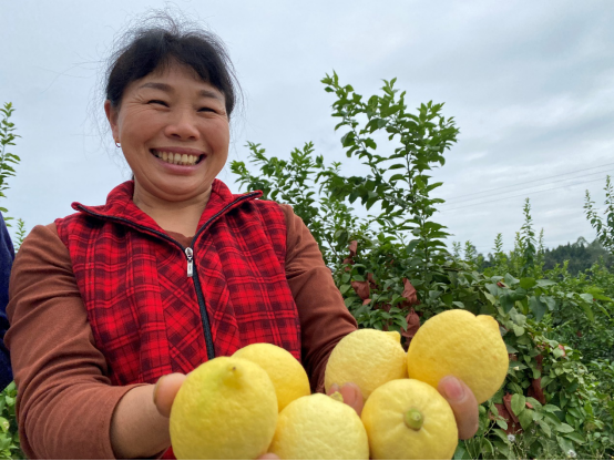 蔬菜疯狂涨价，8元一斤的大葱引发热议，但农民却赚不到钱