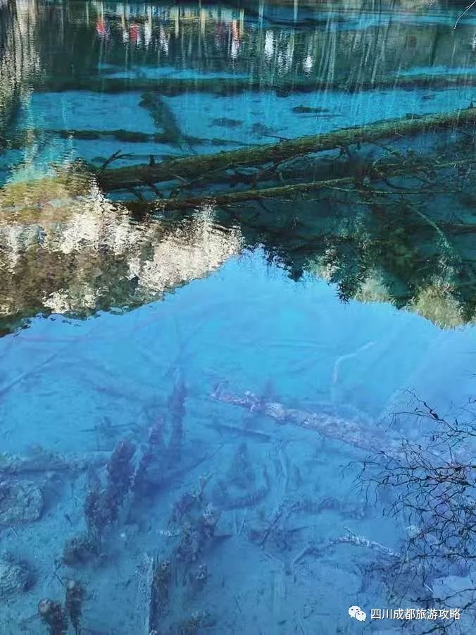 人均仅800九寨沟三日游旅游报价来了