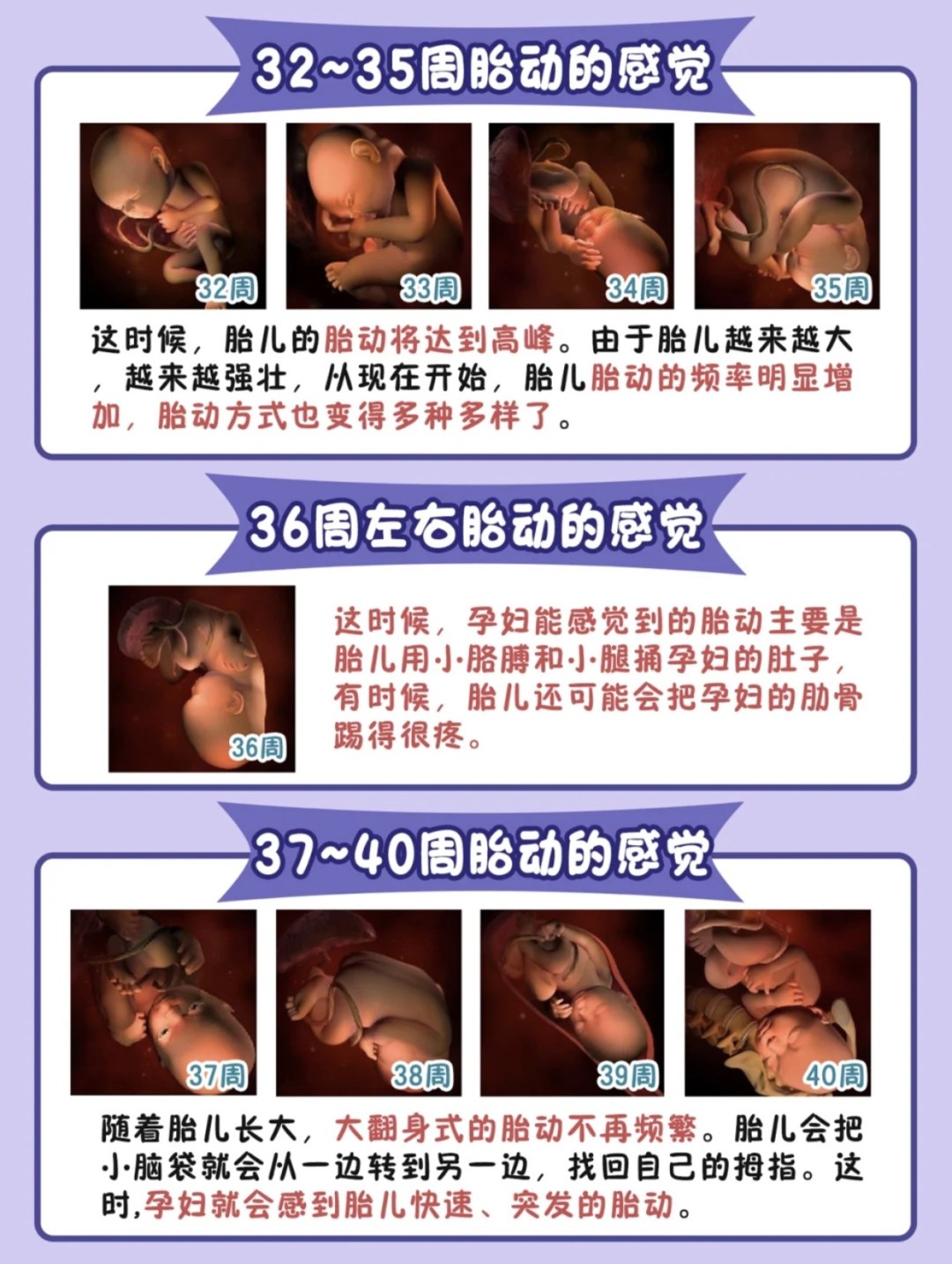 一定要知道的胎動知識 準媽媽必學 小可愛芒果媽媽 Mdeditor