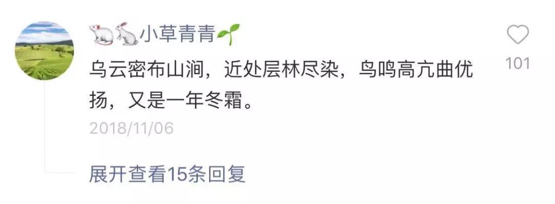 年仅30岁 冰川王 跌入暗河身亡 百万粉丝痛惜 你拍过的绝美世界 再也看不到了 社会 蛋蛋赞