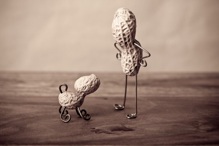 �Ի������������������о���������Ѫ�ܸ�������ÿ��Ҫ�Զ��٣�