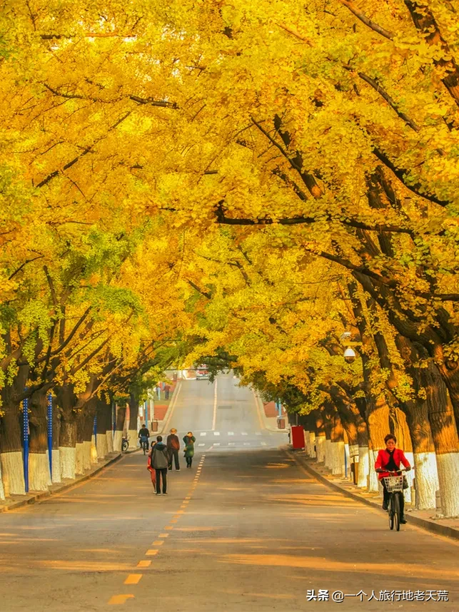 这才是10、11月最值得一去的地方！秋天第一场旅行，你想去哪