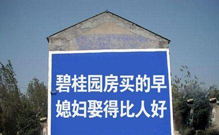 马云成“楼市救星”？阿里进军房产携手碧桂园