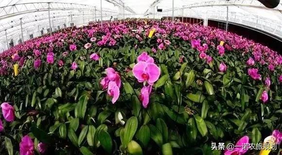 从“农旅融合”的探讨“田园综合体”的4种发展模式