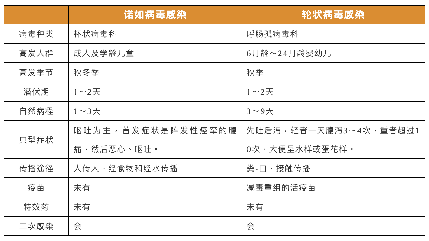 金秋开学，诺如病毒来袭！教你几招如何防御？