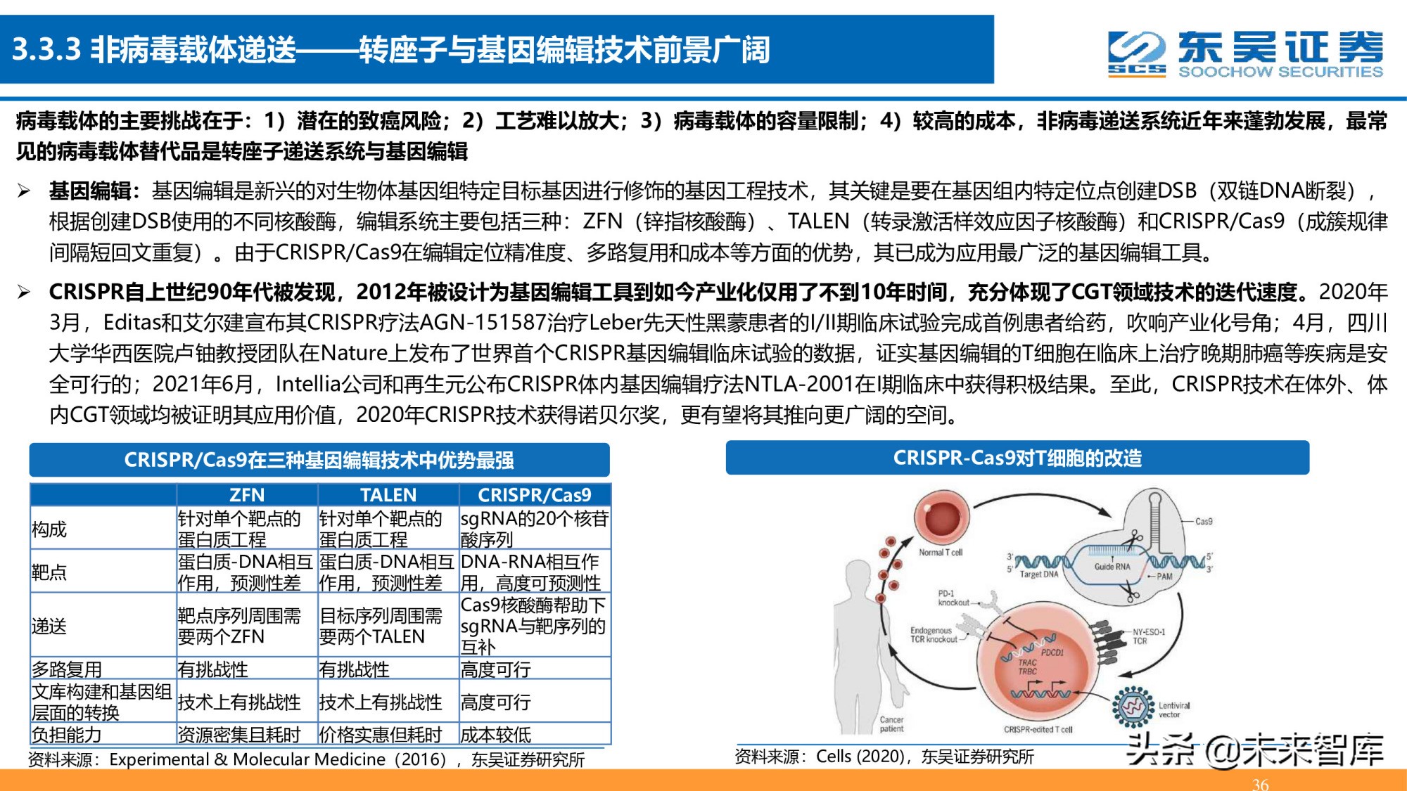 细胞基因治疗CDMO行业深度报告：星火已成燎原势