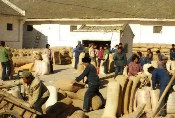 缴纳过公粮的农民，真的可以每月领几百元的养