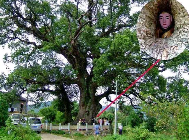 �ҹ�����δ��֮�գ�һ��ǧ��������������һ�����