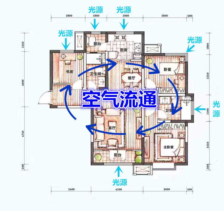 户型鉴赏-6- 王牌户型 南北通透户型