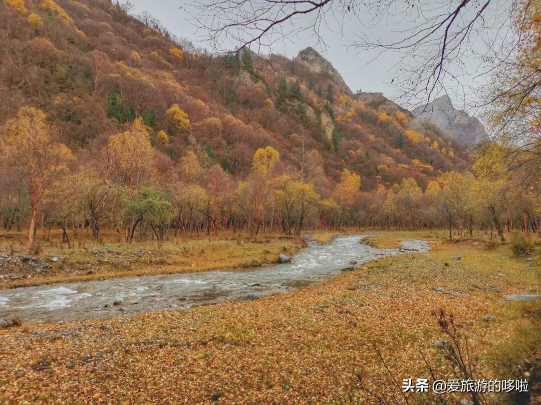 青海值得旅游的地方 青海湖最佳旅游月份(圖76)