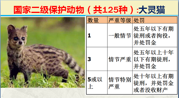 国家最新125类二级野生保护名录，图片及违法对应刑责