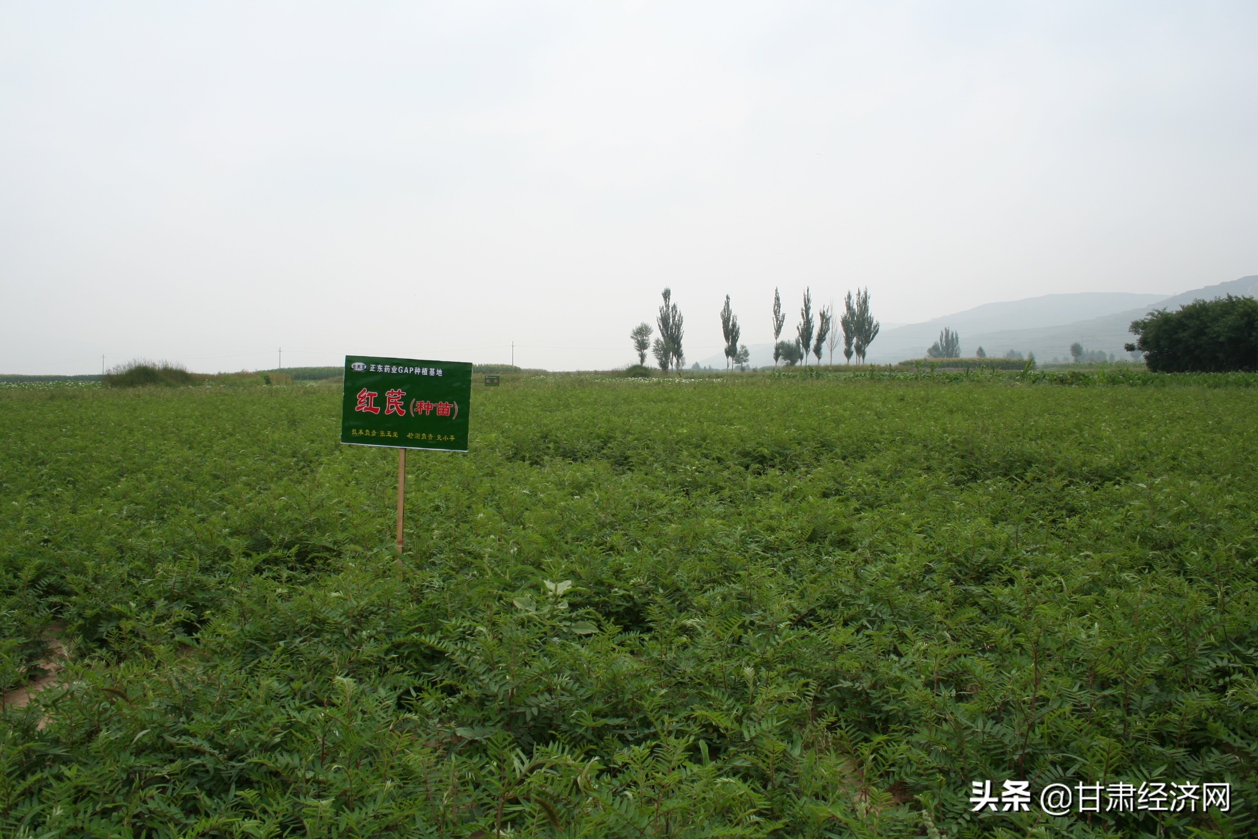 “中国药都”新跨越——定西中医药产业实现全产业链发展