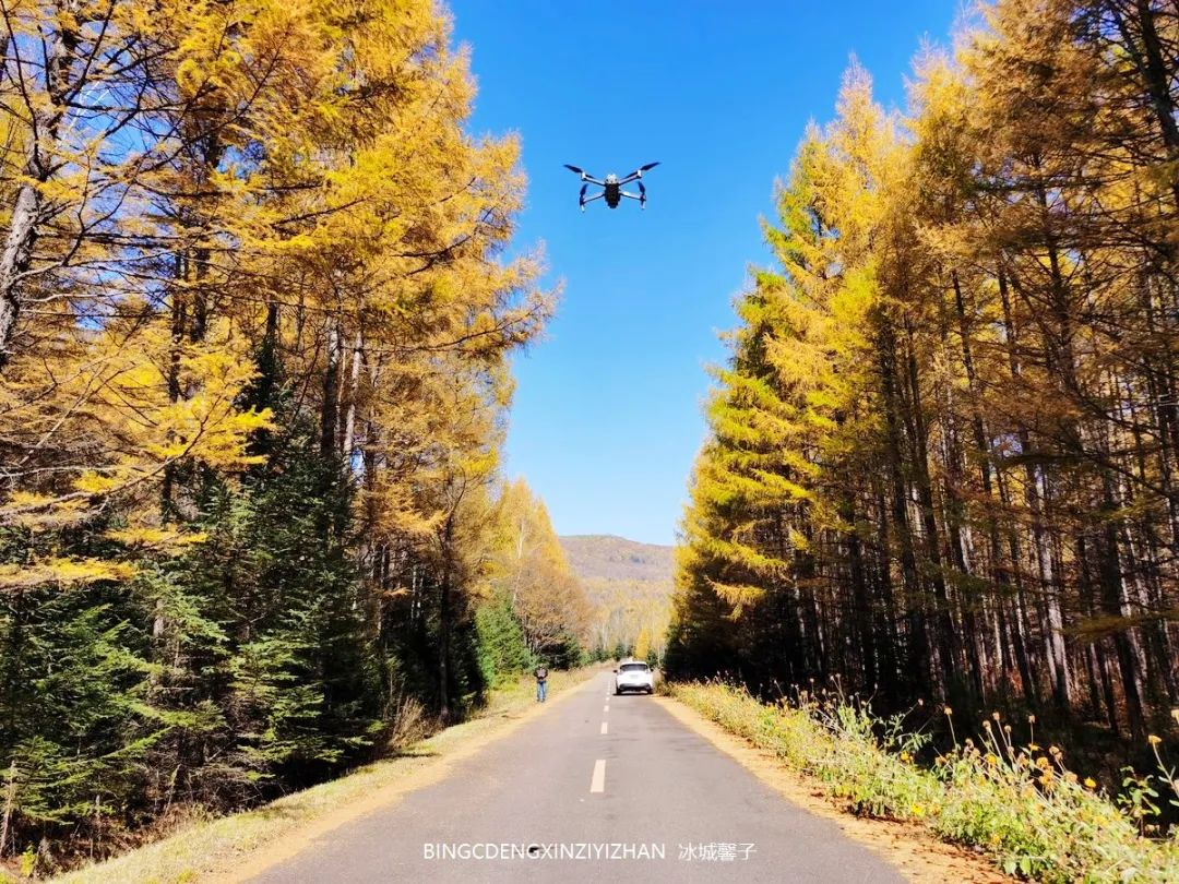 Xuexiang Tianlu, walking through the poetry of autumn leaves dancing with the first snow