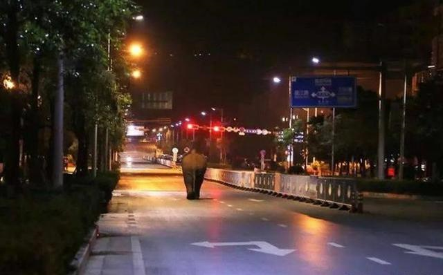 一路北上，野生亞洲象的奇幻之旅，它們究竟要去哪裏？