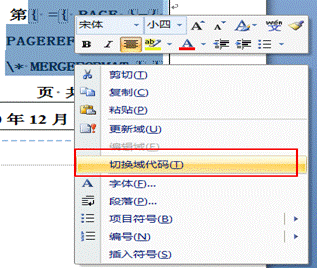 Word中页眉页脚自动插入不同编码规则页码