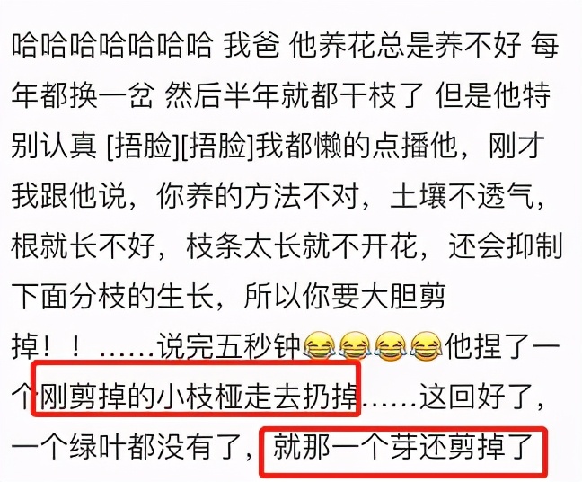 为什么人一过40岁，就喜欢把家里搞成植物园？