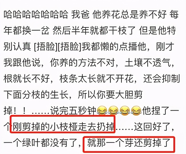 为什么人一过40岁，就喜欢把家里搞成植物园？