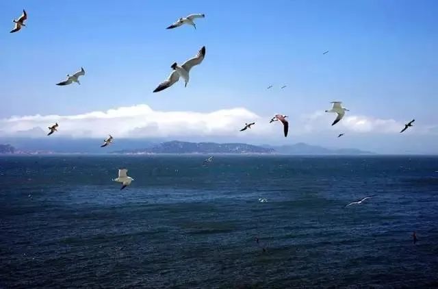 美景不输三亚，这5个小众海岛人少景美门票低，端午有着落了