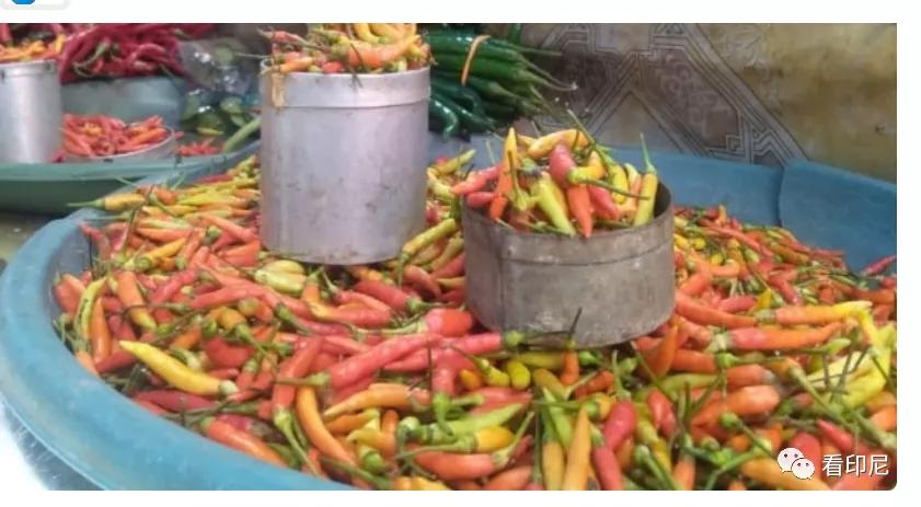 印尼市场向天椒价格飞涨