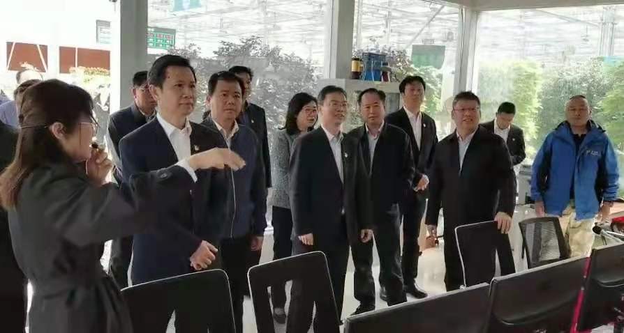 开封市祥符区西姜寨乡：以文旅融合新成效引领乡村振兴