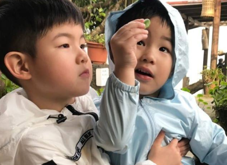 安吉照书养，小鱼儿照猪养，6年过去了，两兄弟的差距一目了然