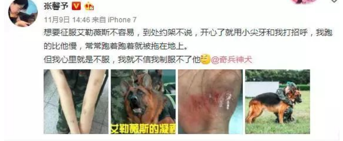 Zhang Xin grants: Cast off controversy to become army elder brother's wife, easy life of a small family is admired nowadays evil spirit other people, 