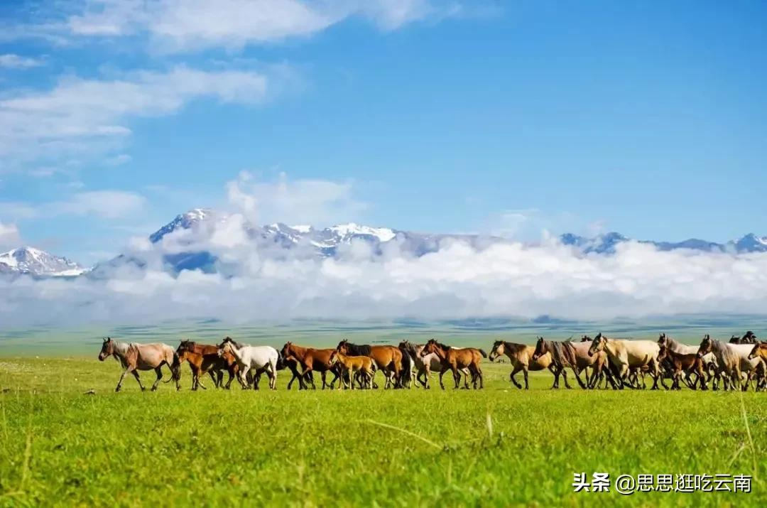 新疆自駕18天,保姆級攻略