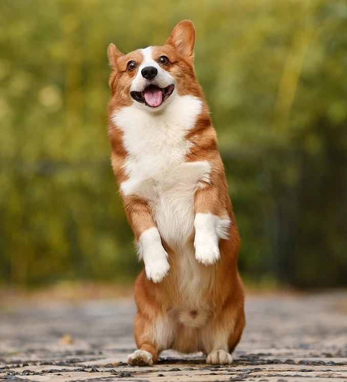 不好意思 原油宝这事没完