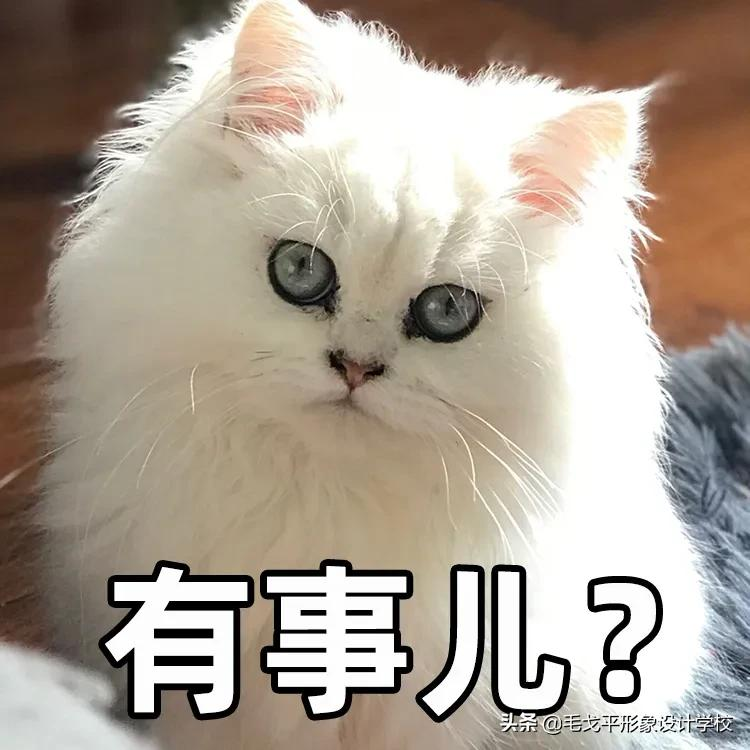 脸大必看 | 神奇纵向化妆术,让你瞬间拥有精致小脸