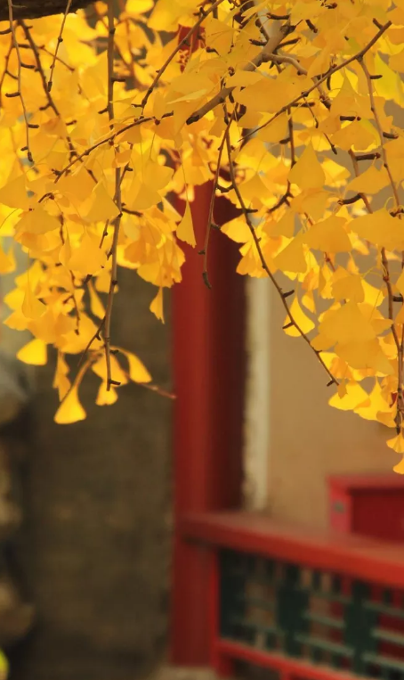 踏歌争唱清秋词，古诗词里的秋词，是秋天最美的色彩-第14张图片-诗句网