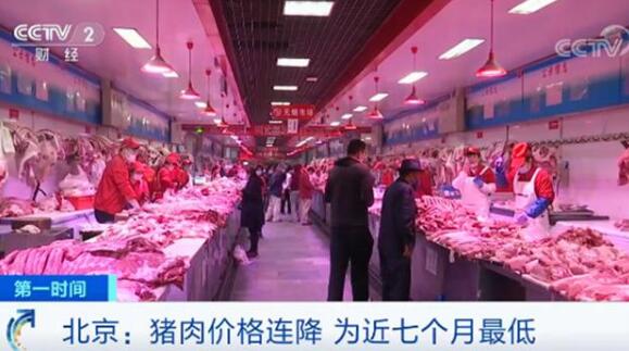 中国生猪交易市场今日热点：价持续走跌，半数