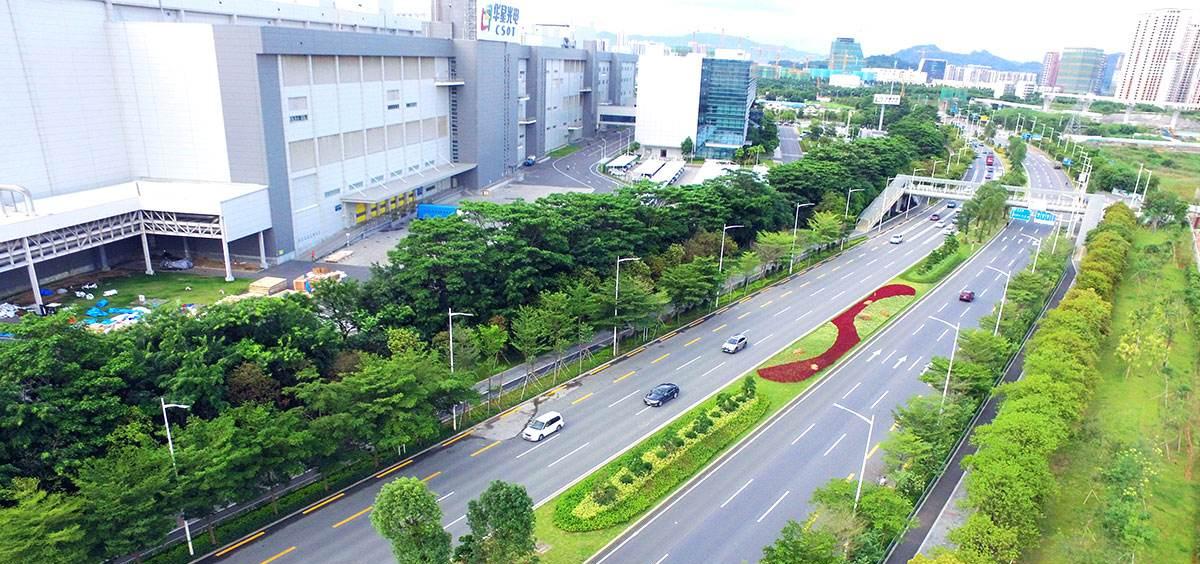 中国城市爱搞绿化带，但为啥欧洲国家就没有？