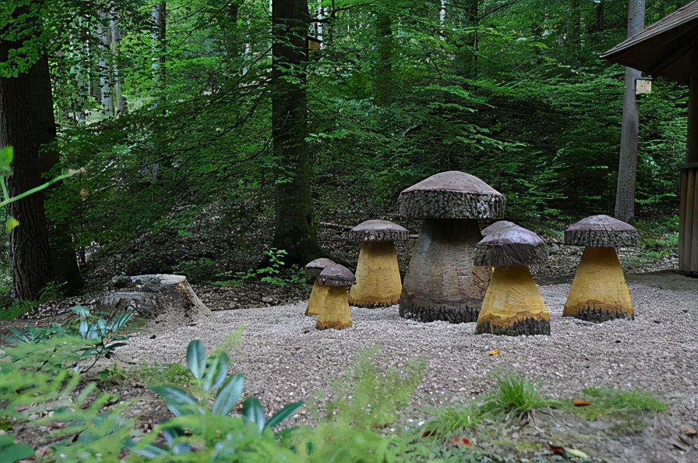 德国UNESCO世界地质公园里的童话小径：儿童探索自然天堂