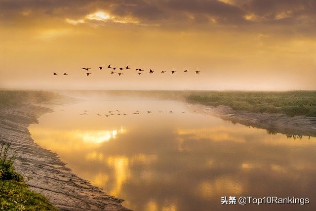 世界上最长的10条河流，长江只排到第三名，那么第一名是谁？