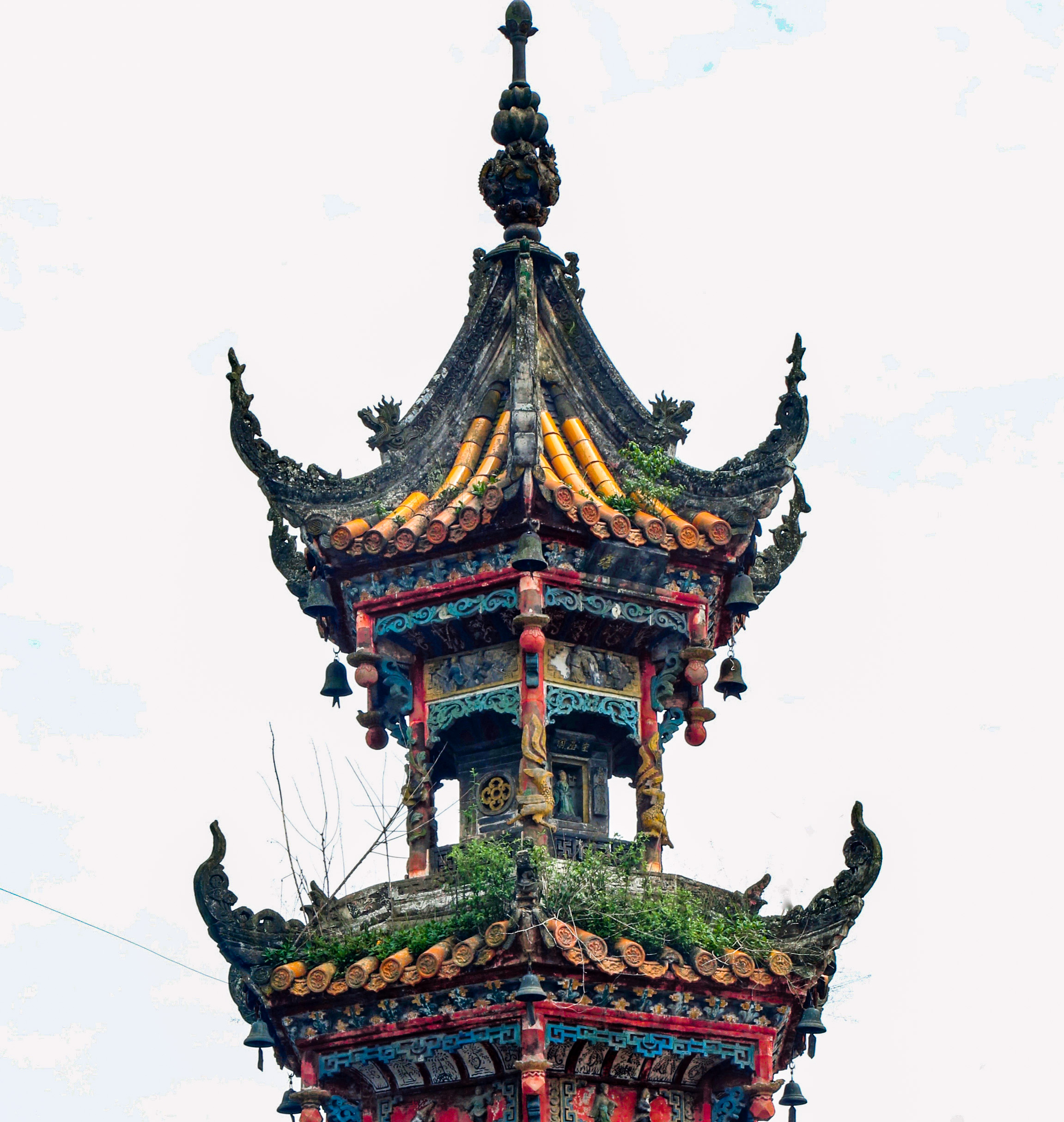 【大鹅犀浦丨名山大地指纹】浅丘梯地,漫步最美茶乡 — 财大 犀浦