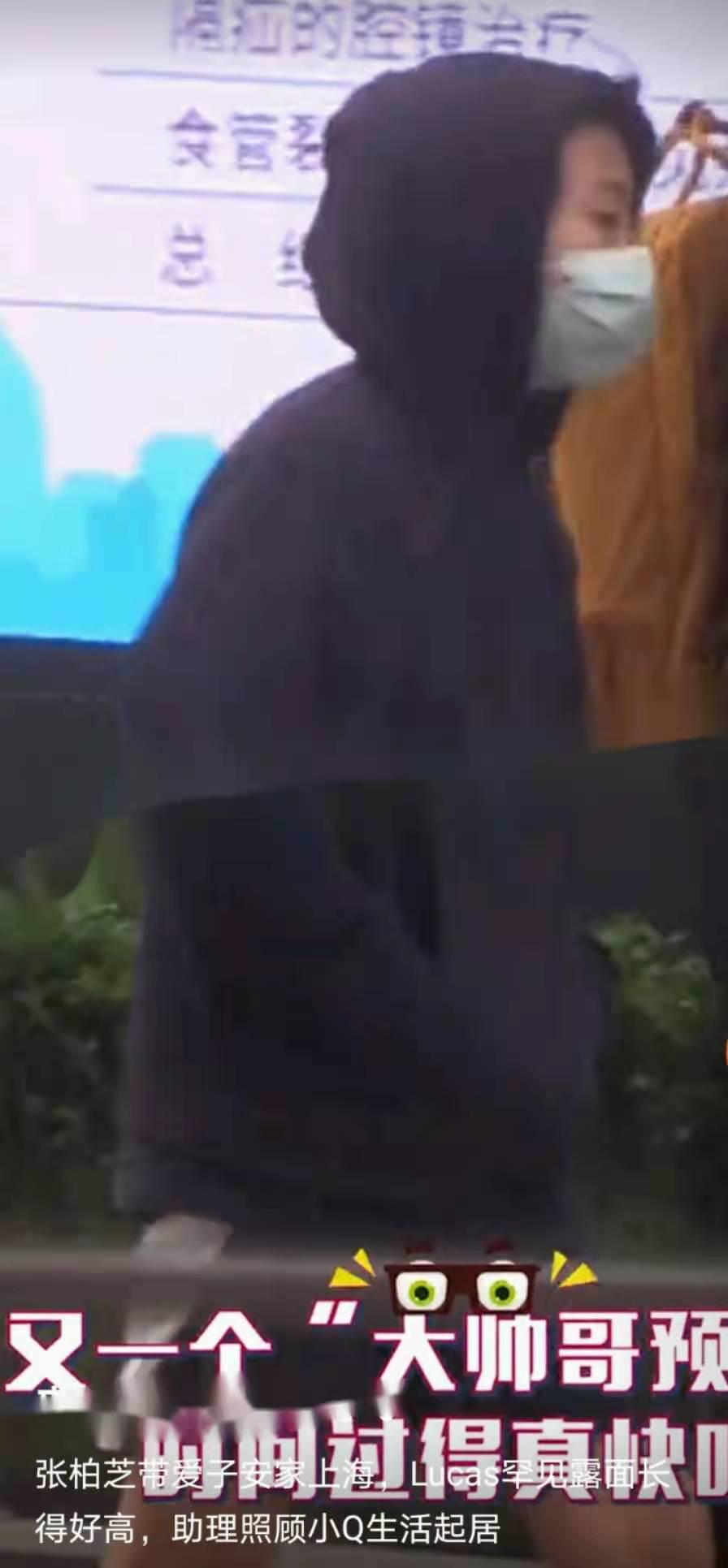 張柏芝被曝定居上海，舉家搬遷引粉絲猜測，疑與小王子生父有關