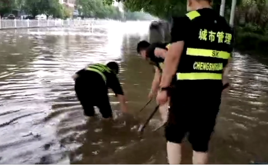 暴雨见证：有人替你负重前行