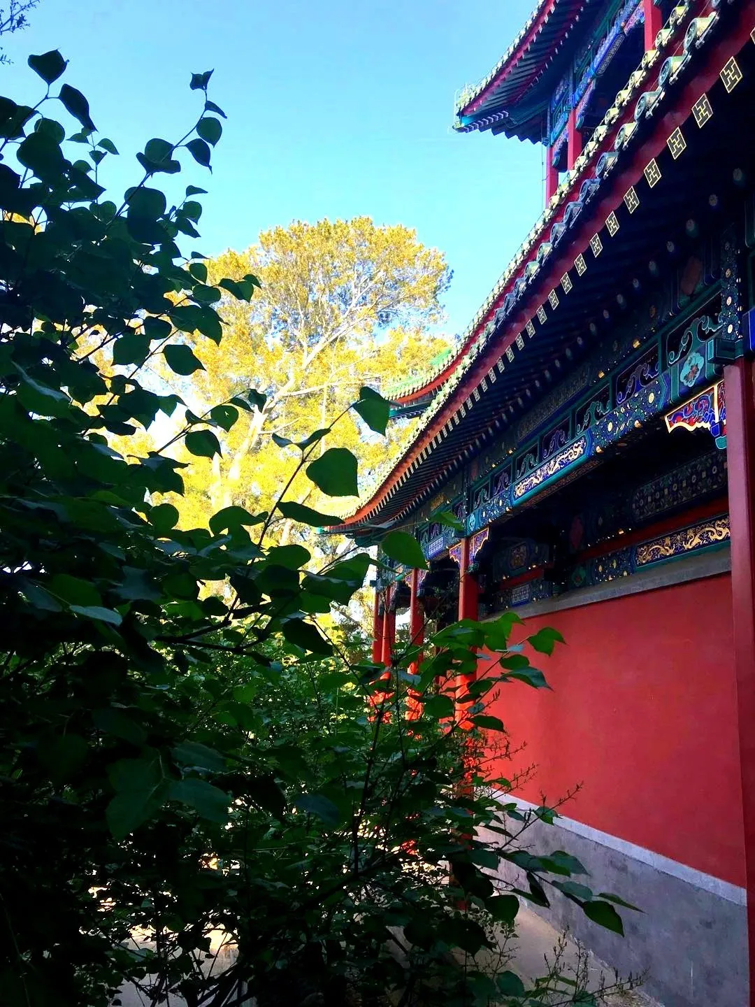 Find the quietness of ancient temples, and enjoy the beautiful scenery of early autumn at Tanzhe Temple and Jietai Temple!