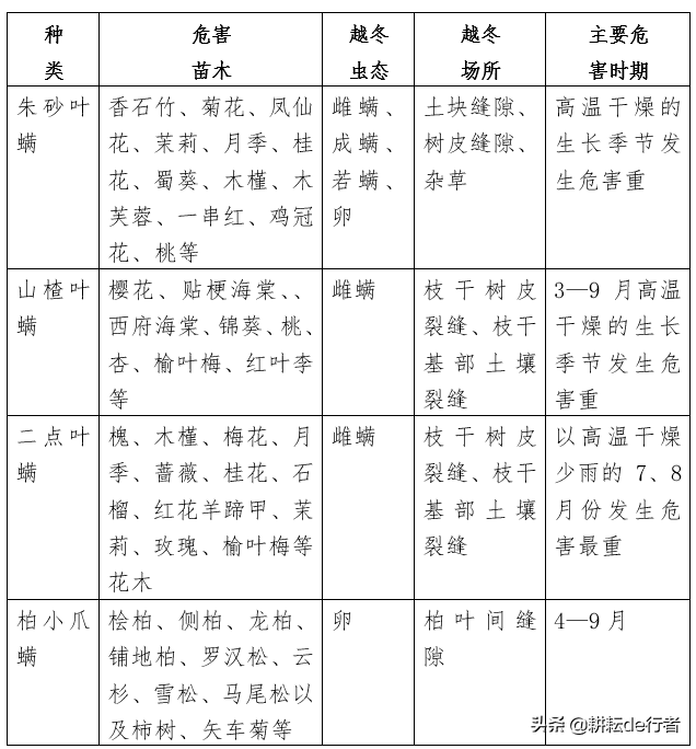 暖冬情况下，园林病虫害防治-第18张图片-农百科